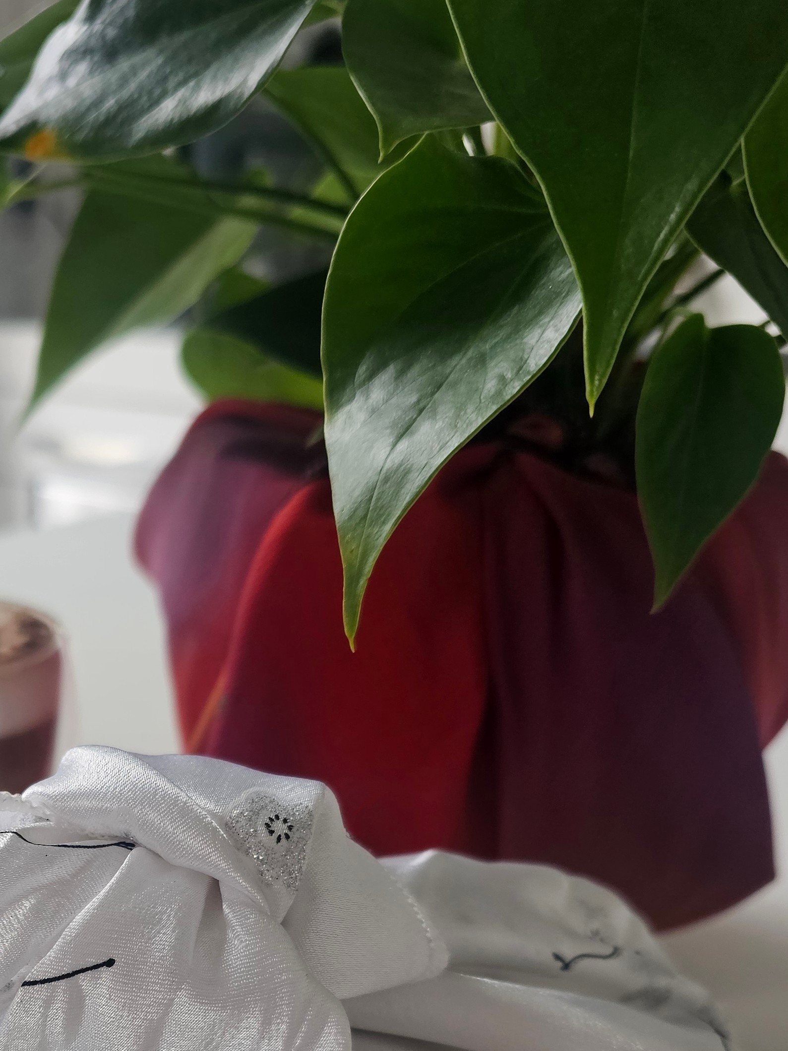 Plant pot wrapped with dark red and orange fabric gift wrapping with the knot of white fabric wrapped gift in front 