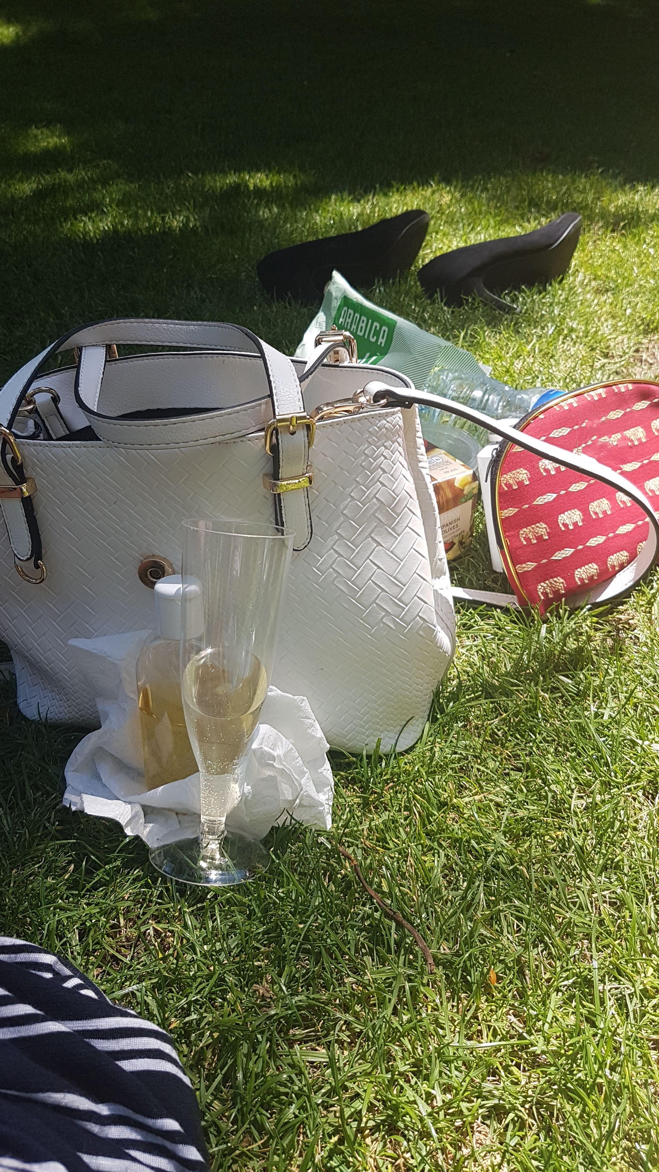 picnic on grass with disposible champagne flute and plastic rubbish